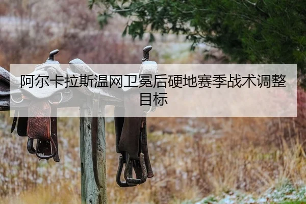a-er-ka-la-si-wen-wang-wei-mian-hou-ying-di-sai-ji-zhan-shu-tiao-zheng-mu-biao-2-869.jpg