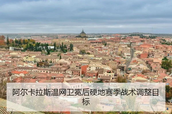 a-er-ka-la-si-wen-wang-wei-mian-hou-ying-di-sai-ji-zhan-shu-tiao-zheng-mu-biao-3-971.jpg