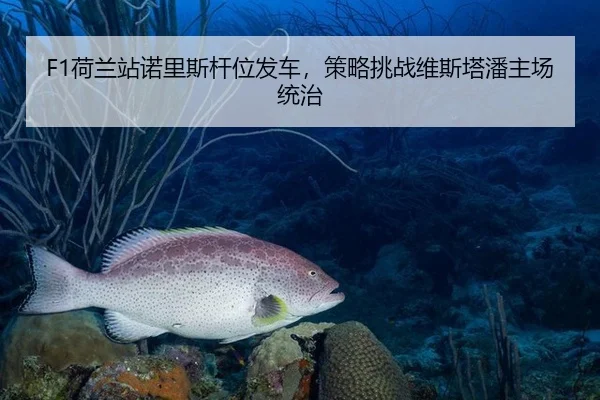 he-lan-zhan-nuo-li-si-gan-wei-fa-che-ce-lve-tiao-zhan-wei-si-ta-pan-zhu-chang-tong-zhi-3-343.jpg