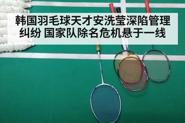 badminton match court